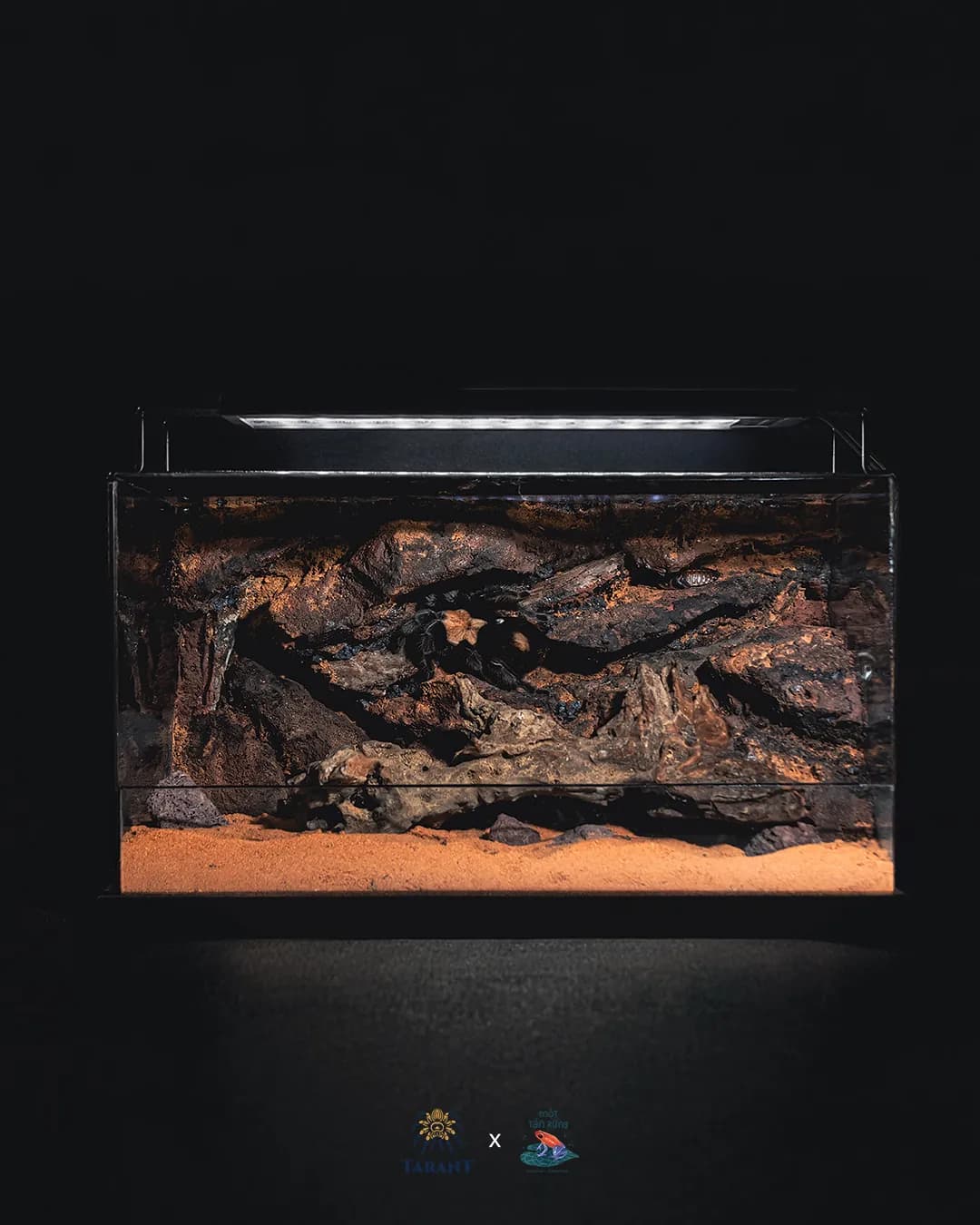 Tank Ngang Suối Rừng 35X20X20